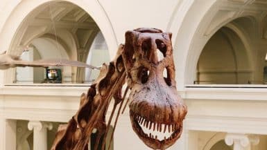 best museums in chicago