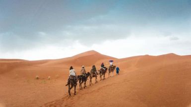 largest deserts world