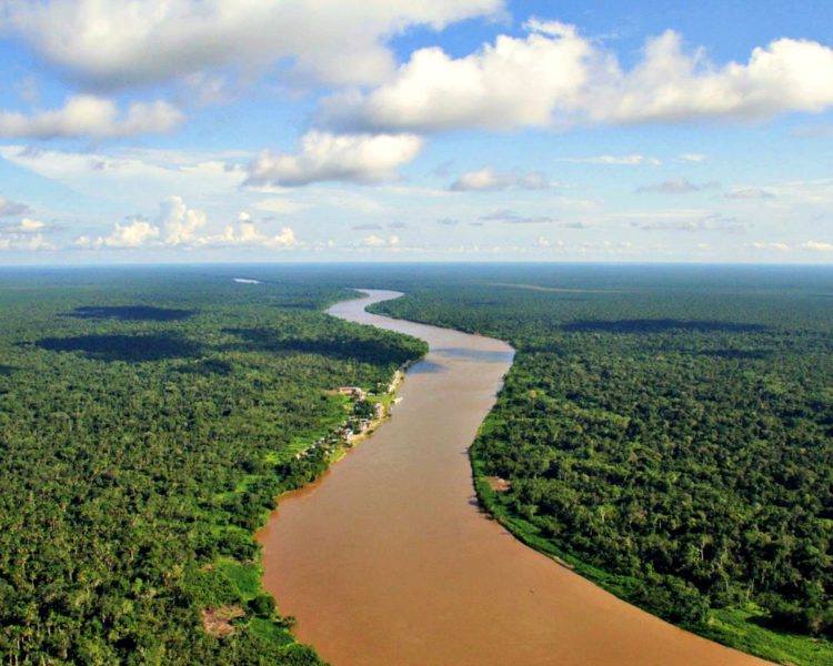 facts amazon rainforest
