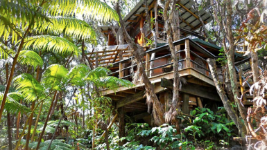 Glamping In Hawaii