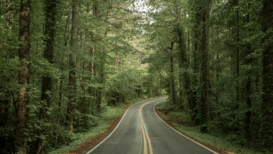 Tennessee Road Trips