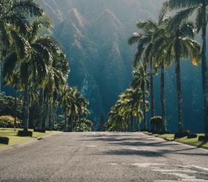 Hawaii Road Trips