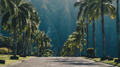 Hawaii Road Trips