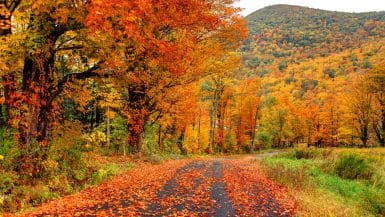 fall foliage drives New England