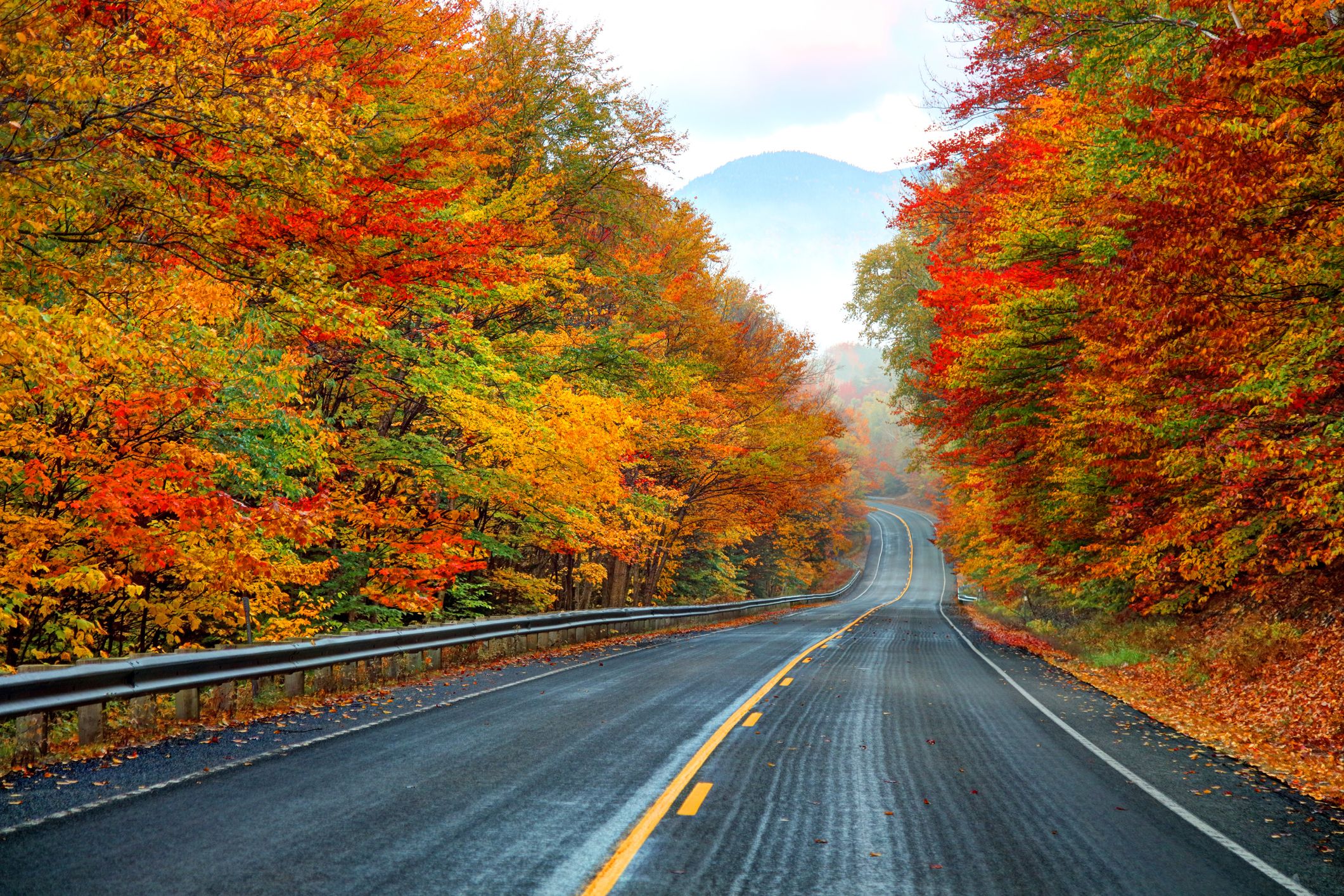 fall foliage drives New England