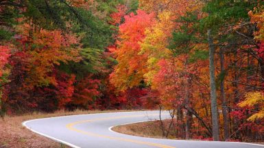 New York fall foliage