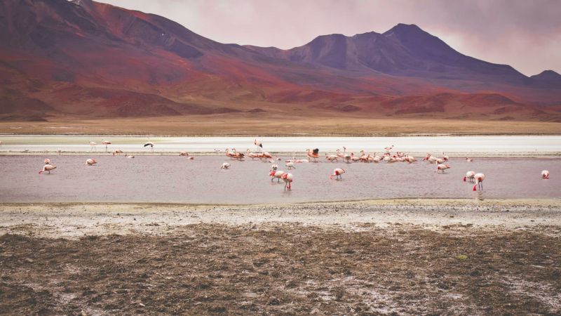 Interesting facts about Bolivia