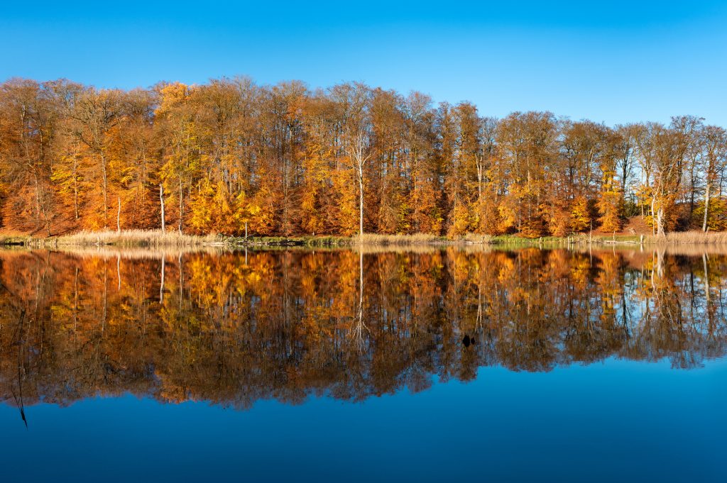 7 de los lagos más bellos de Alemania &#8211; Big 7 Travel
