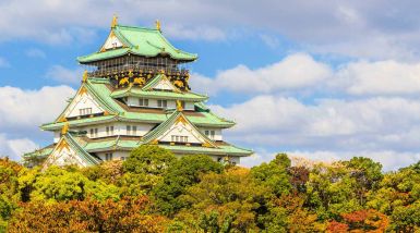 interesting facts about Japan Forest