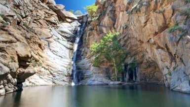 California watering hole