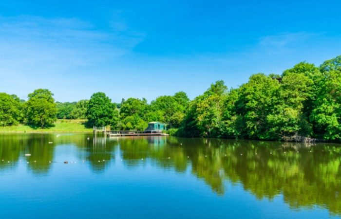 Best wild swimming spots london
