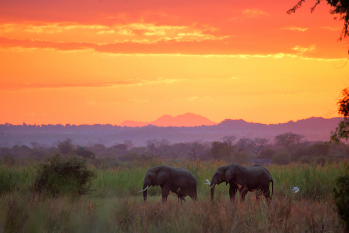 7 datos interesantes sobre Malawi &#8211; Big 7 Travel
