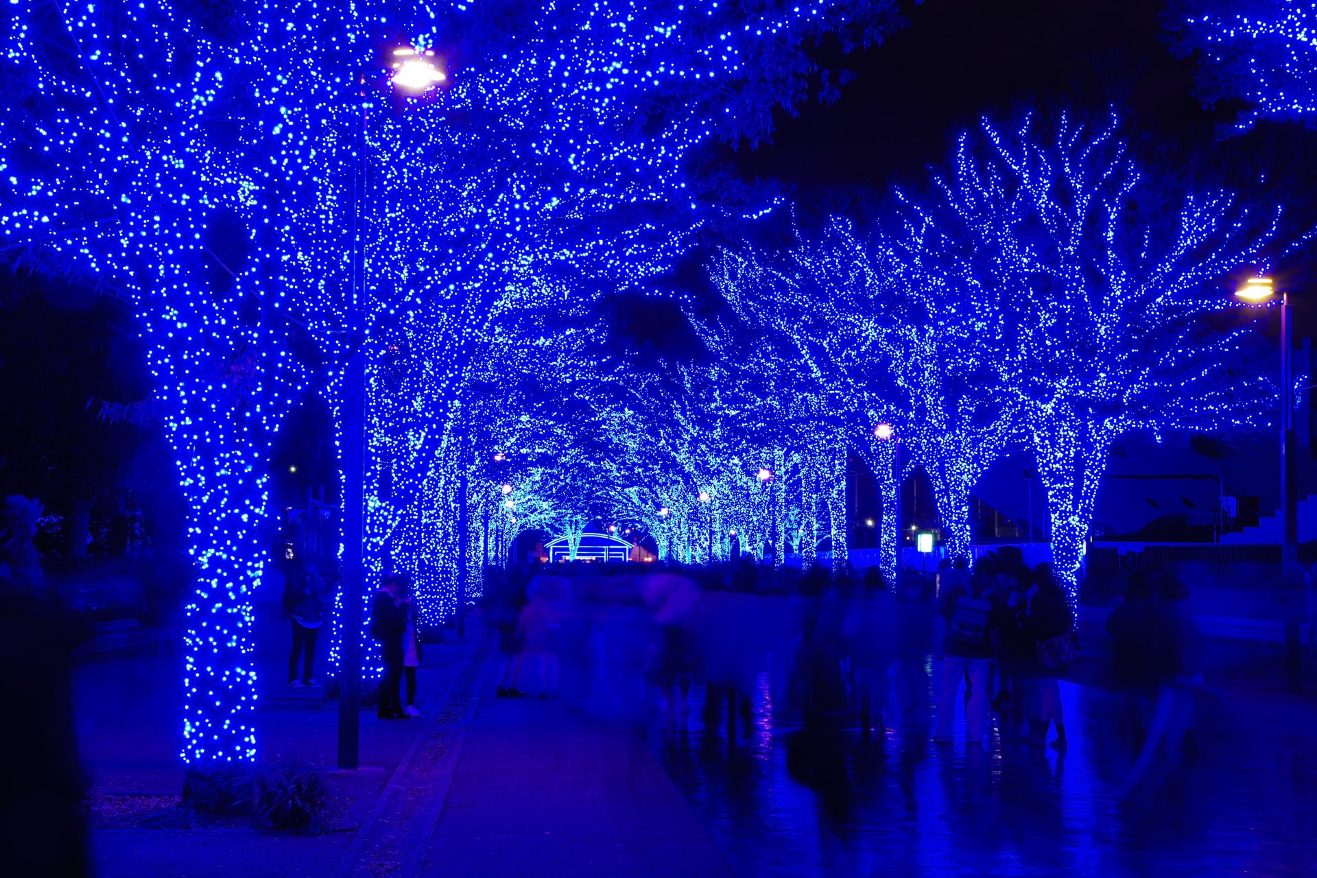 Christmas traditions in Japan