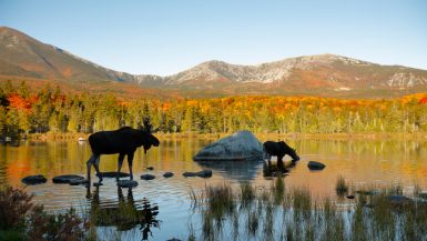 best national parks in Maine