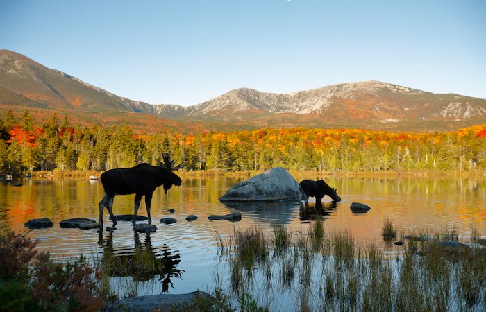 best national parks in Maine