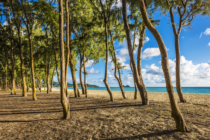 best beaches in Oahu