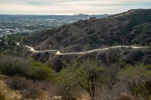 runyon canyon trail in los angeles