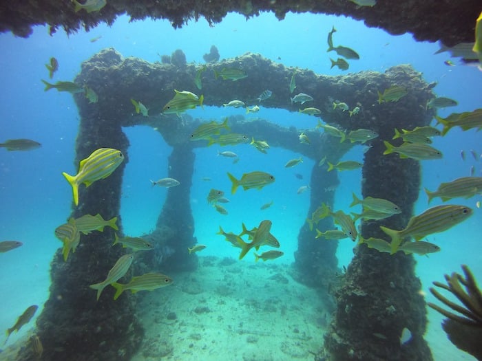 best places snorkeling Miami