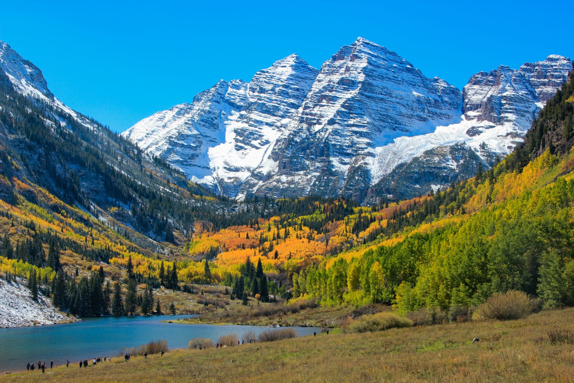 colourful autumn trees in front of snowy mountain