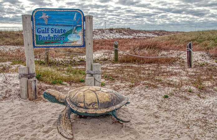 Orange Beach, Alabama, USA 1-15-19