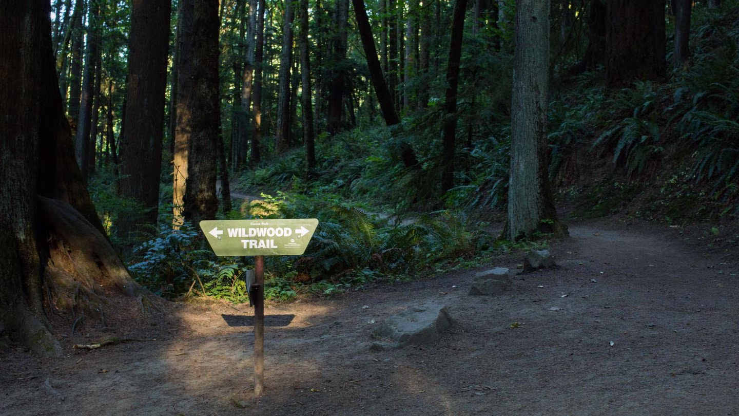 best walks Portland Oregon