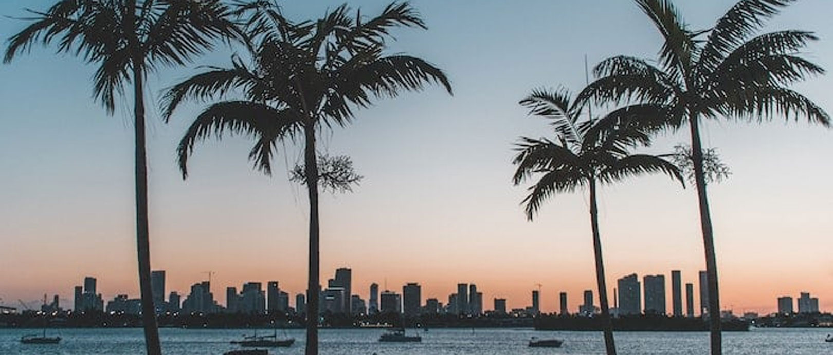 Where is the Best Nightlife in Miami?